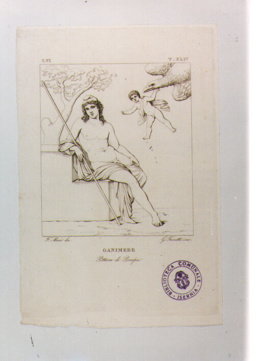 GANIMEDE (stampa) di Anonimo, Ferretti Giuseppe, Mori Ferdinando (sec. XIX)