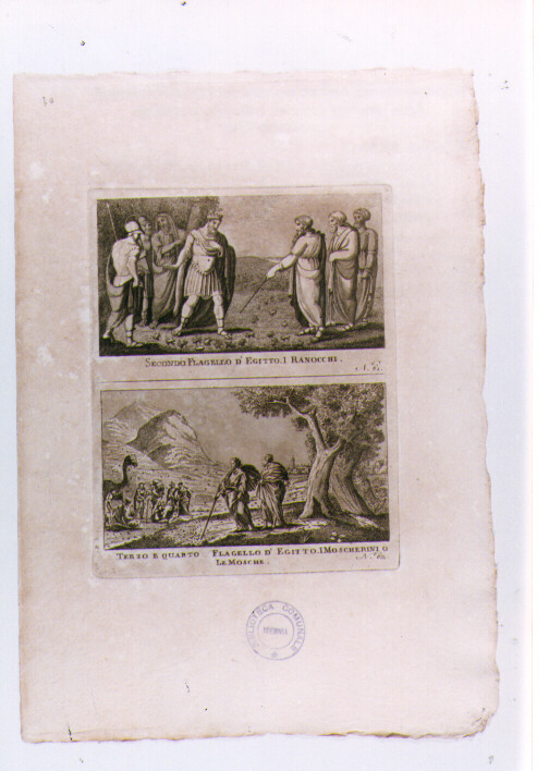 L'EGITTO E' INVASO DALLE RANE; INVASIONE DI MOSCERINI E MOSCHE (stampa) di Olivieri Bernardino (sec. XVIII)