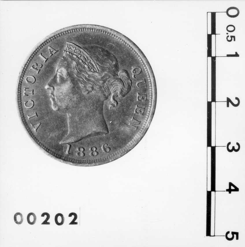 moneta - 1 piastra (secc. XIX d.C)