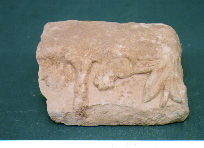 rilievo, frammento - bottega Italia meridionale (sec. XII)