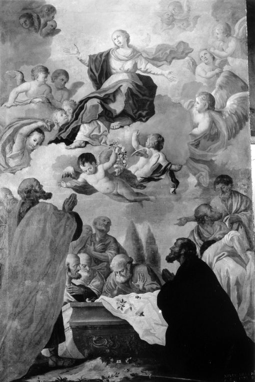 Madonna Assunta con angeli (dipinto) di Lillo Saverio (sec. XVIII)