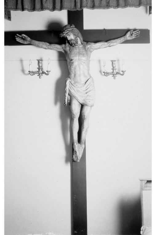 Cristo crocifisso sulla croce vivente (crocifisso) - ambito Italia meridionale (seconda metà sec. XVII)
