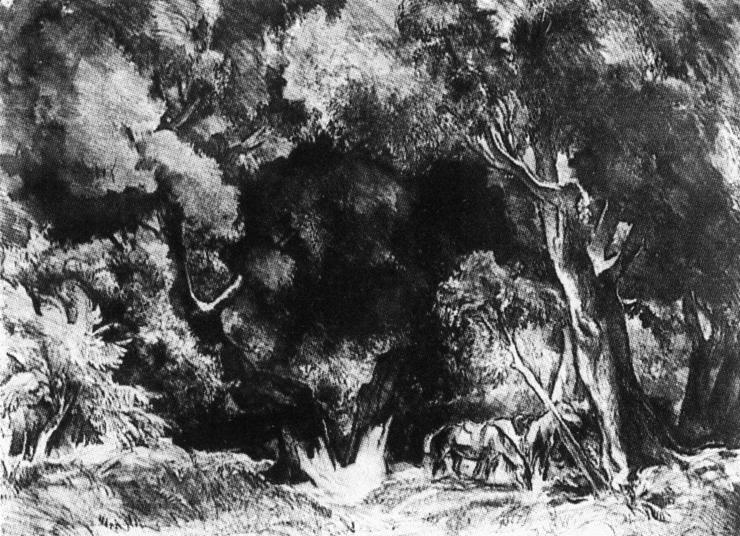 Cavalli nel bosco (dipinto)