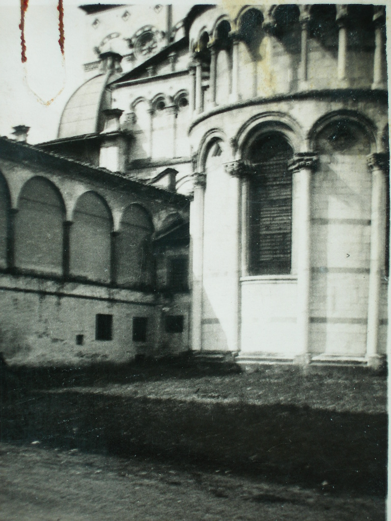 Lucca-Cattedrale di S. Martino (positivo) di anonimo (XX)