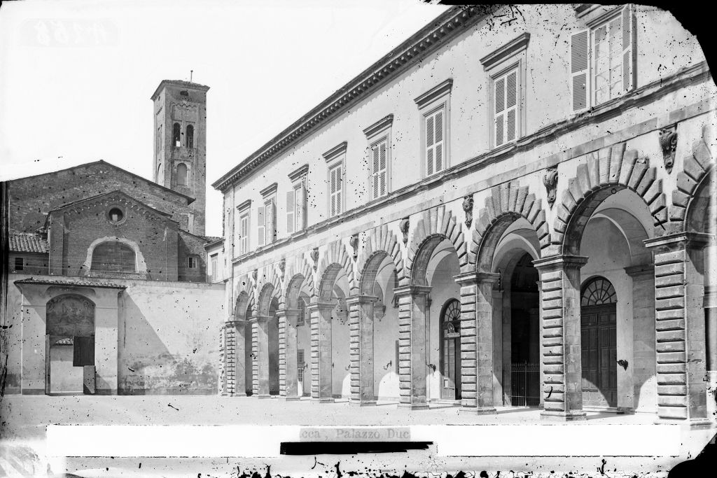 Lucca - Palazzo della Provincia (negativo) di Anonimo (XIX/ XX)