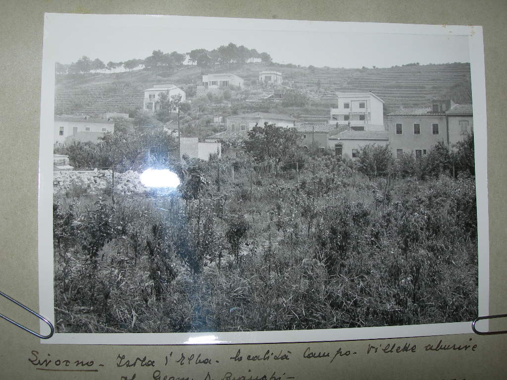 Isola d'Elba. Veduta di un paese (positivo) di Anonimo (XX)