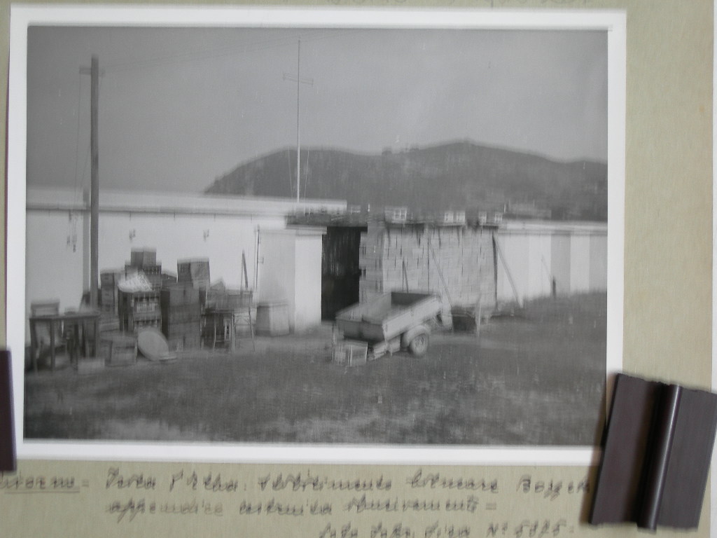 Isola d'Elba. Veduta (positivo) di Anonimo (XX)