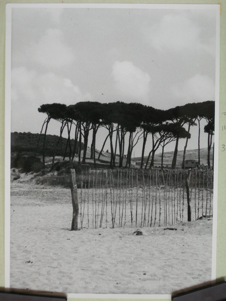 Livorno. Piombino. Veduta (positivo) di Anonimo (XX)