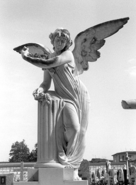 Angelo appoggiato a una colonna spezzata che sparge fiori sul sepolcro (statua) di Bozzano Antonio (sec. XX)