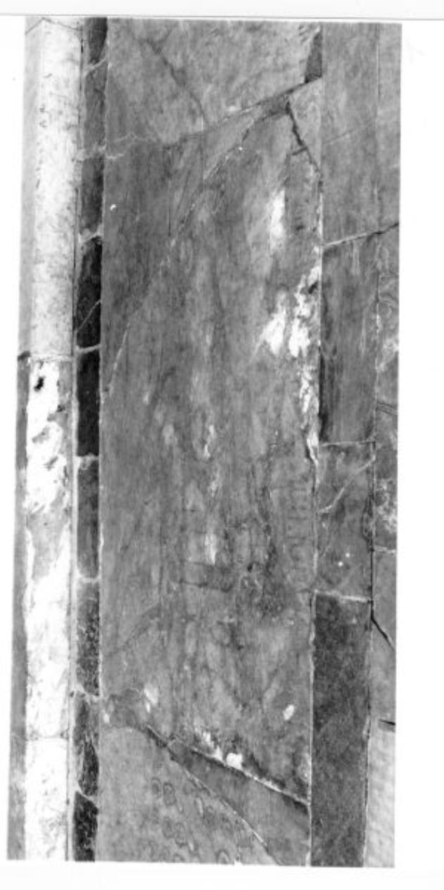 Sismondi (lapide tombale) - ambito pisano (sec. XIV)