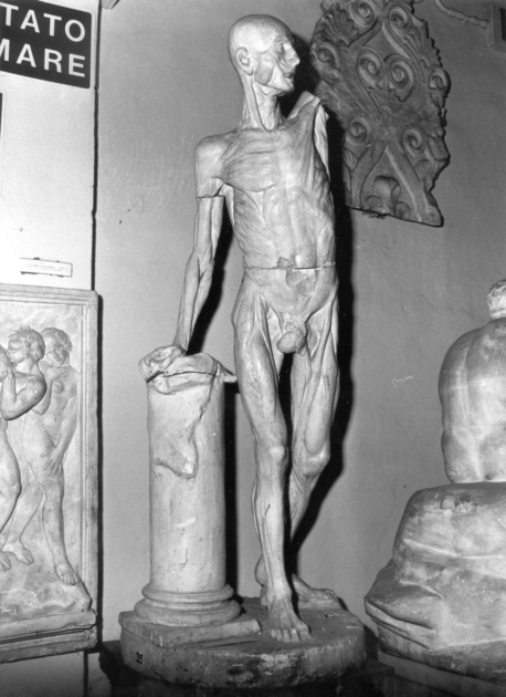 FIGURA ANATOMICA CON COLONNA (statua) - ambito italiano (primo quarto sec. XX)