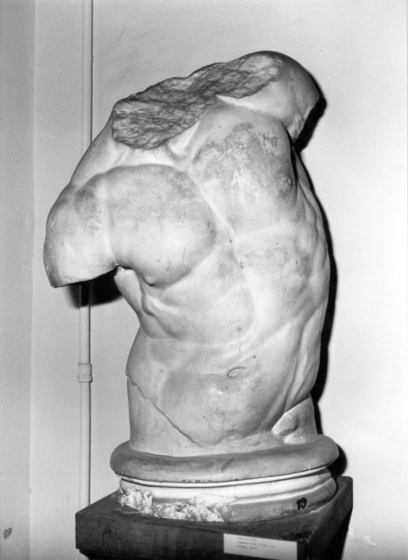 TORSO DI FAUNO (statua) - ambito italiano (seconda metà sec. XIX)