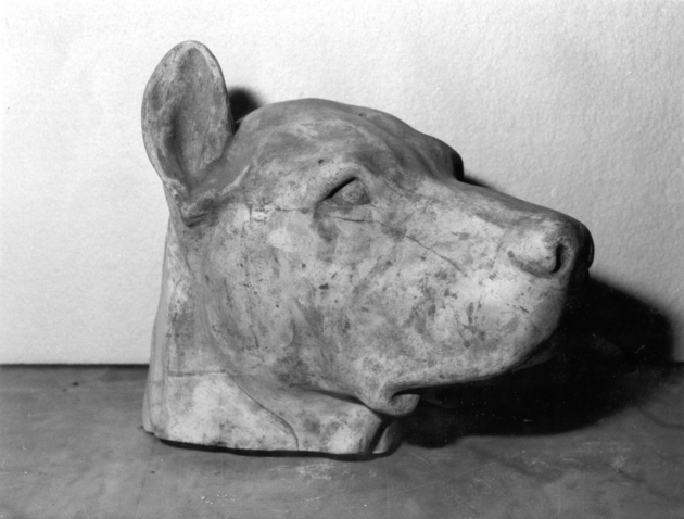 TESTA DI CANE (scultura) - ambito italiano (prima metà sec. XX)