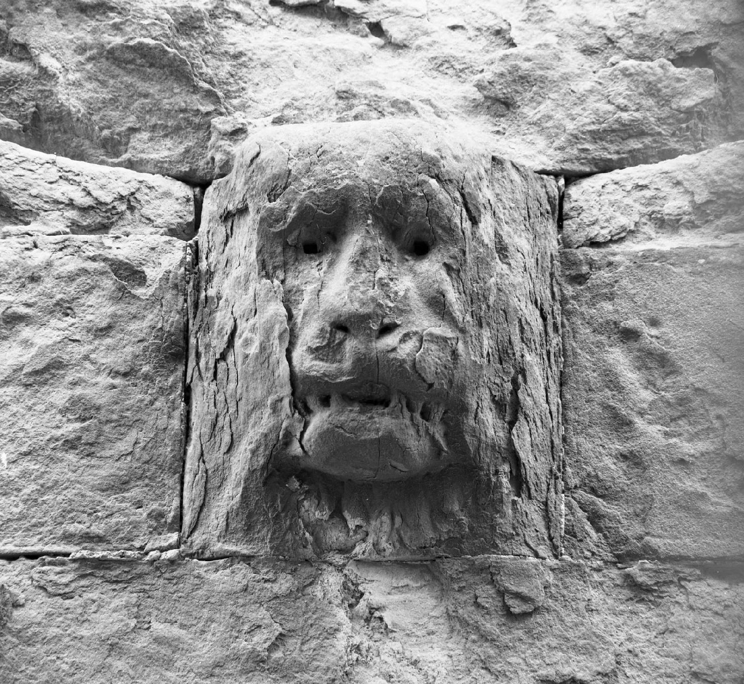 testa di leone (rilievo) - bottega fiorentina (sec. XV)