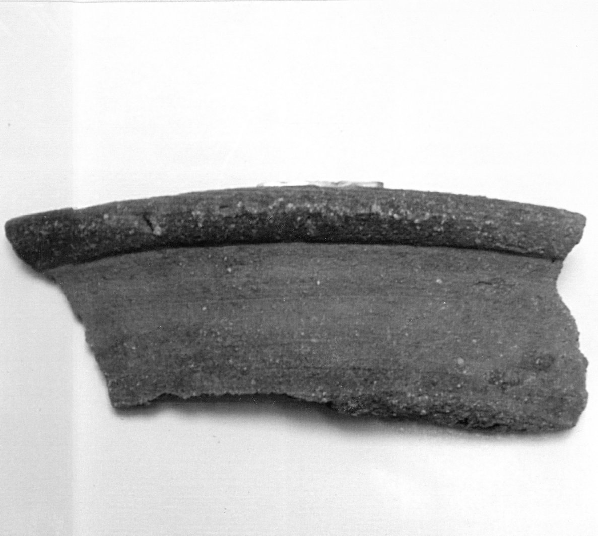 tegame, frammento - bottega aretina (seconda metà sec. XIV)