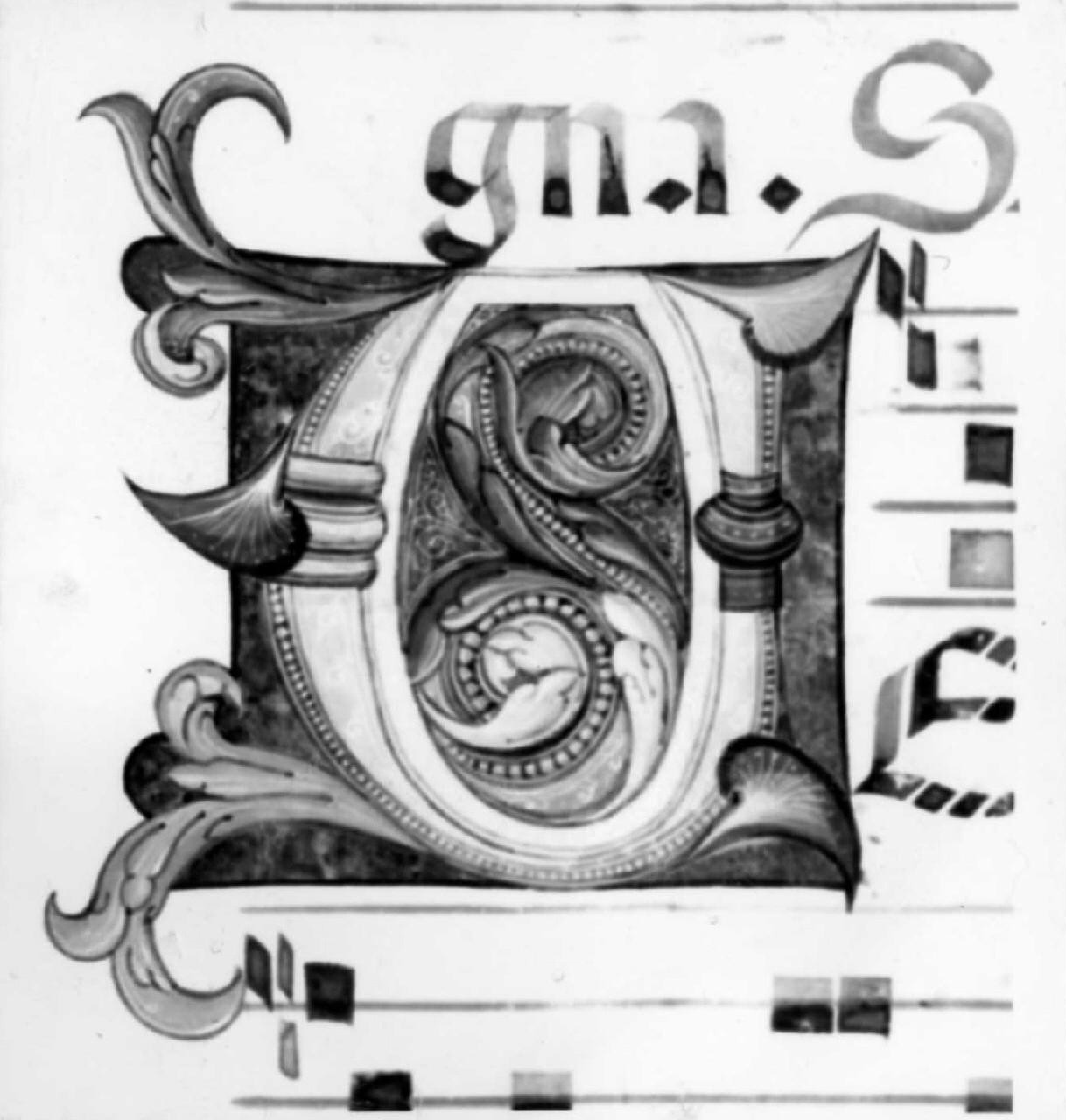 lettera V (miniatura) - ambito fiorentino-pratese (sec. XV)