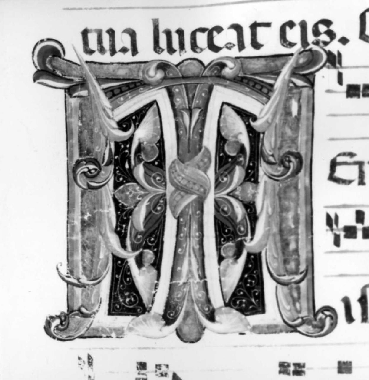 lettera T (miniatura) - ambito fiorentino-pratese (sec. XV)