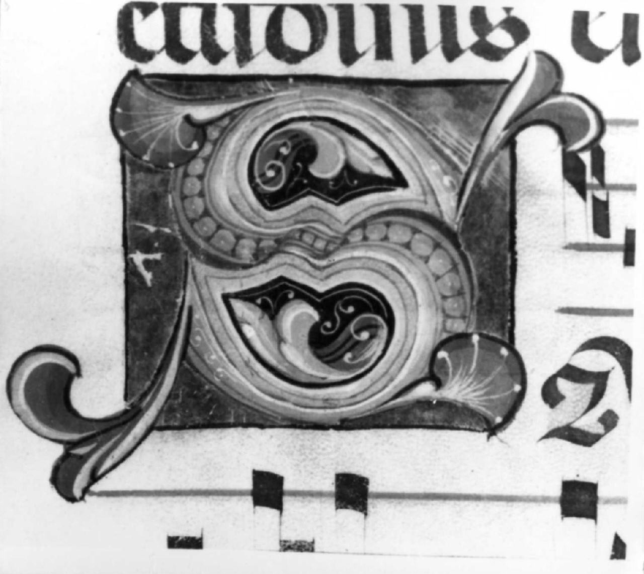 lettera S (miniatura) - ambito fiorentino-pratese (sec. XV)