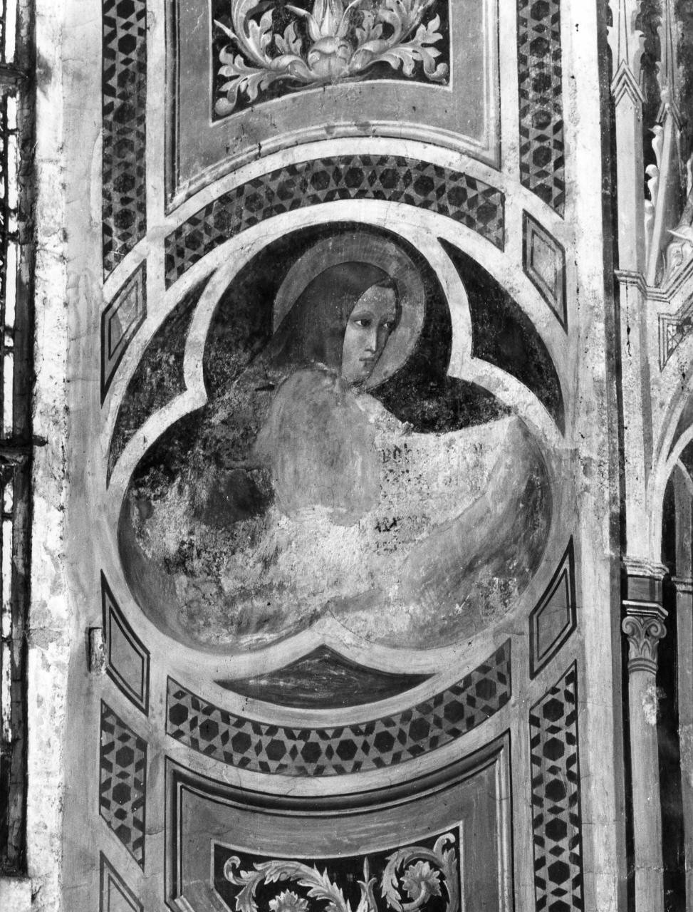 Santo francescano (dipinto) - ambito pistoiese (primo quarto sec. XV)