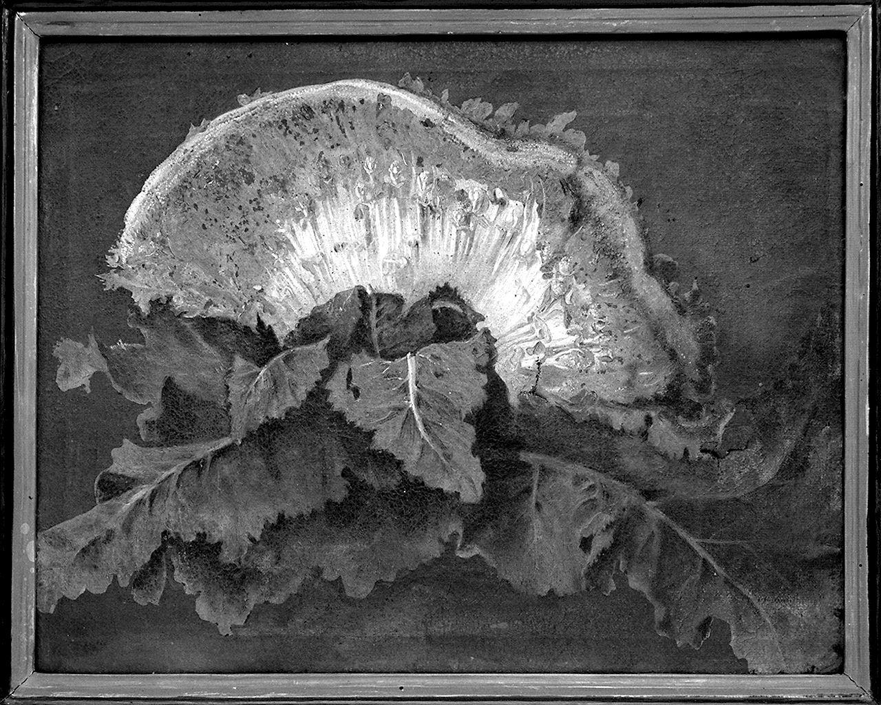 natura morta di verdura (dipinto) - ambito toscano (primo quarto sec. XIX)