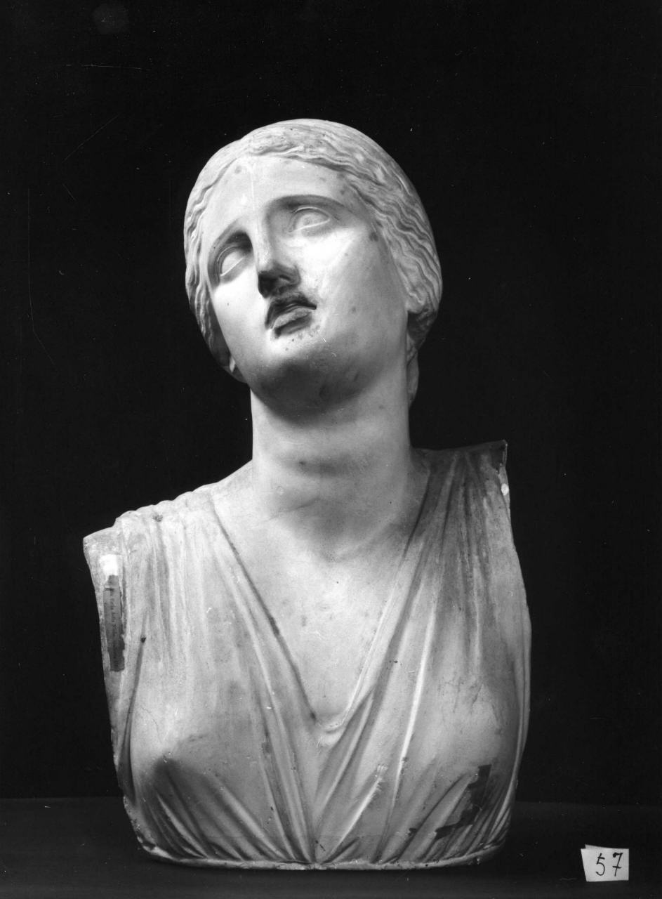 figlia di Niobe, busto di giovane (statua) di Lelli Luigi (bottega) (secc. XIX/ XX)