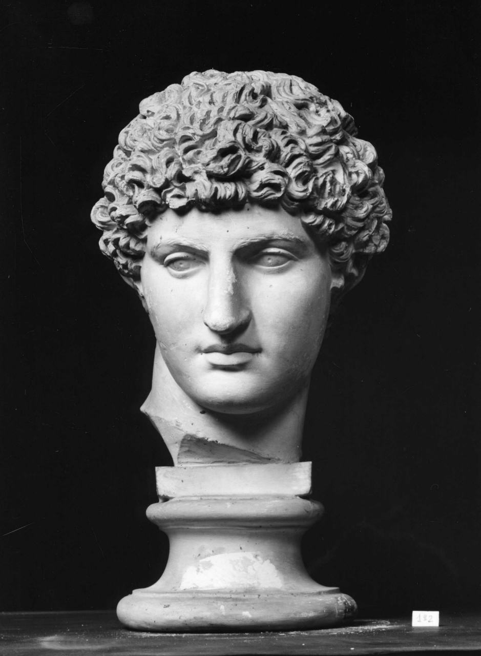 Antinoo, testa d'uomo (statua) - produzione italiana (secc. XIX/ XX)