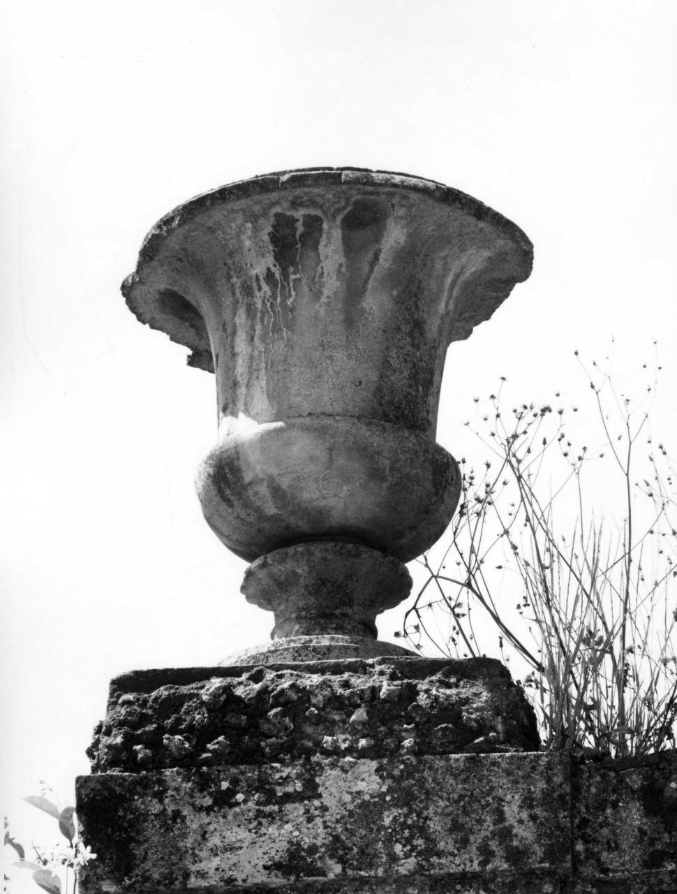 vaso, serie - produzione fiorentina (secondo quarto sec. XVIII)