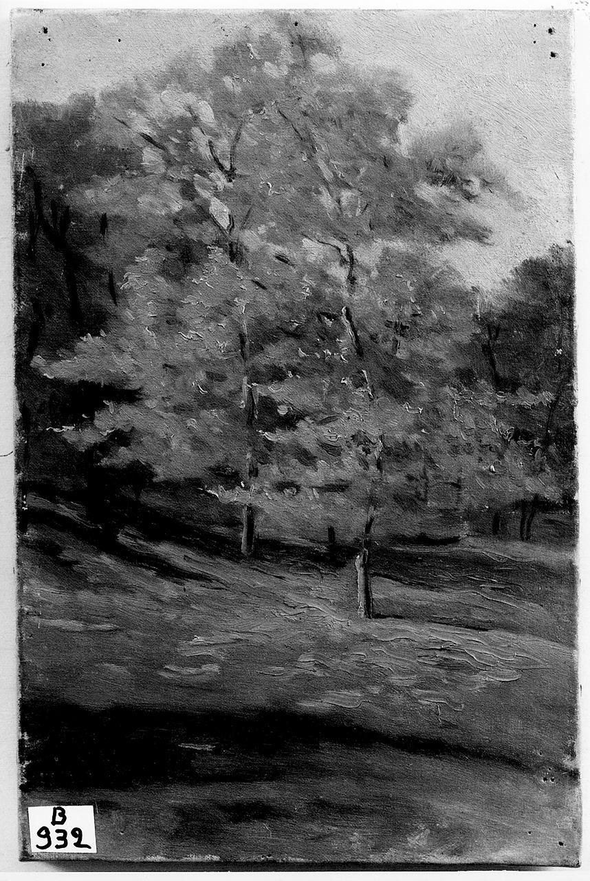 paesaggio con alberi (dipinto) - ambito italiano (fine/inizio secc. XIX/ XX)