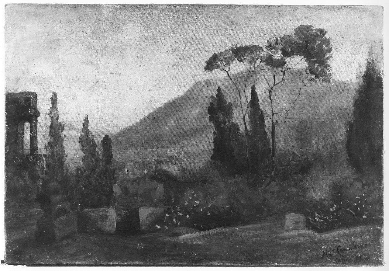 paesaggio con rovine (dipinto) di Cammarano Michele (sec. XIX)