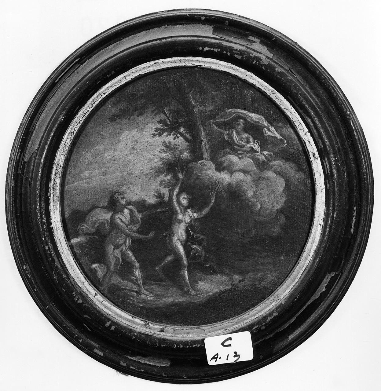 Apollo e Dafne (dipinto) - ambito romano (seconda metà sec. XVII)