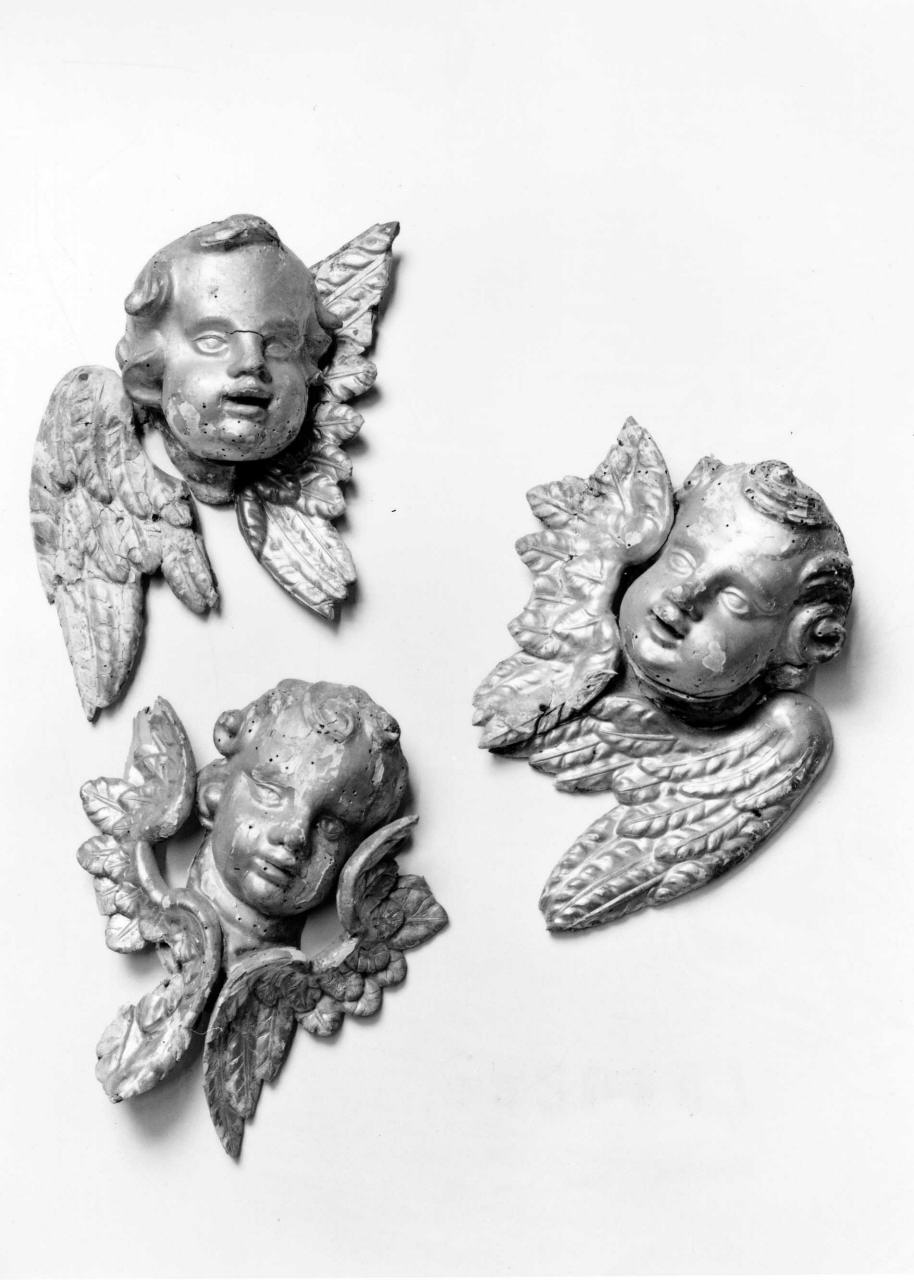 cherubino (rilievo, serie) - bottega toscana (metà sec. XVIII)