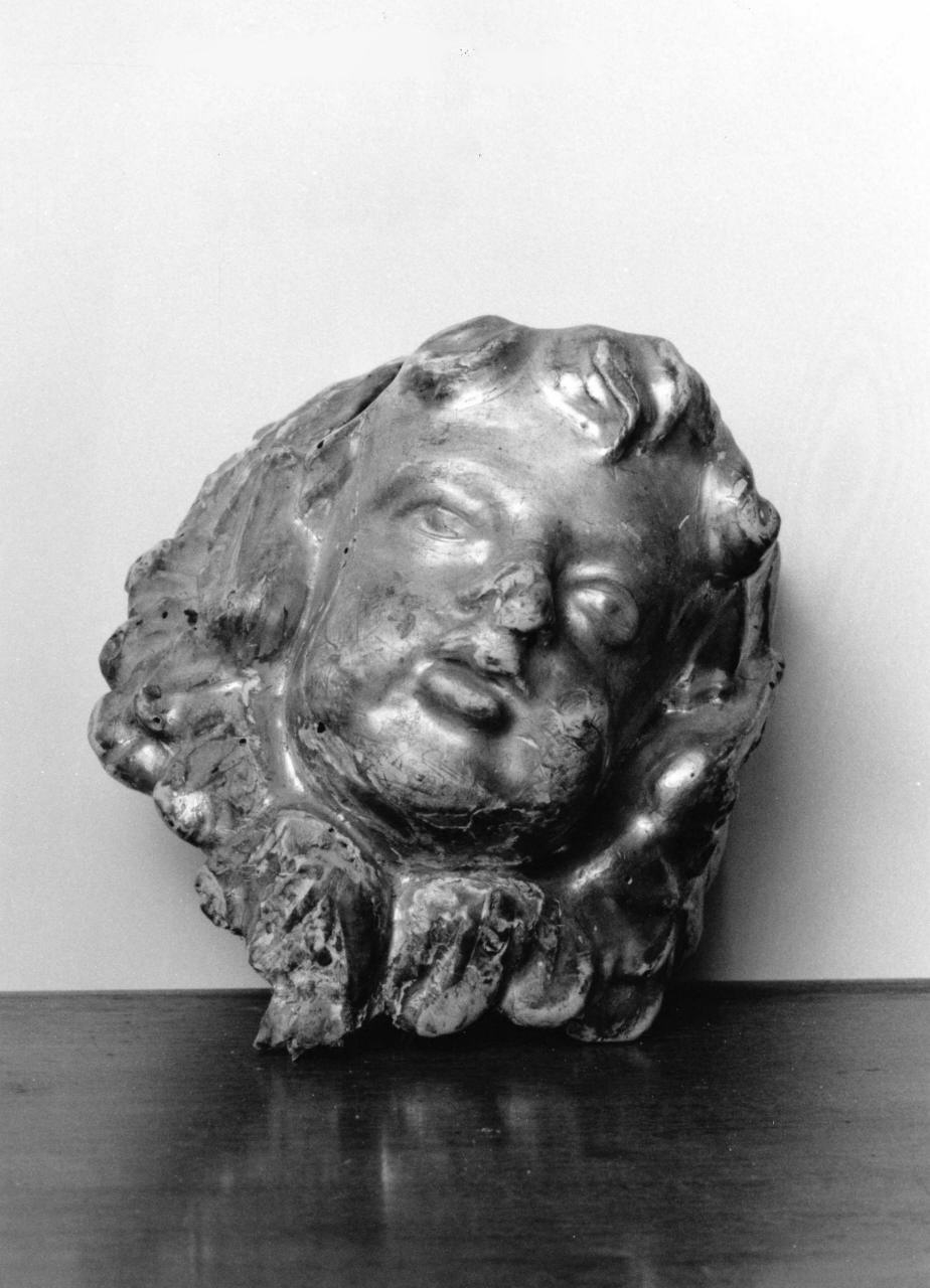cherubino (rilievo) - bottega toscana (metà sec. XVIII)