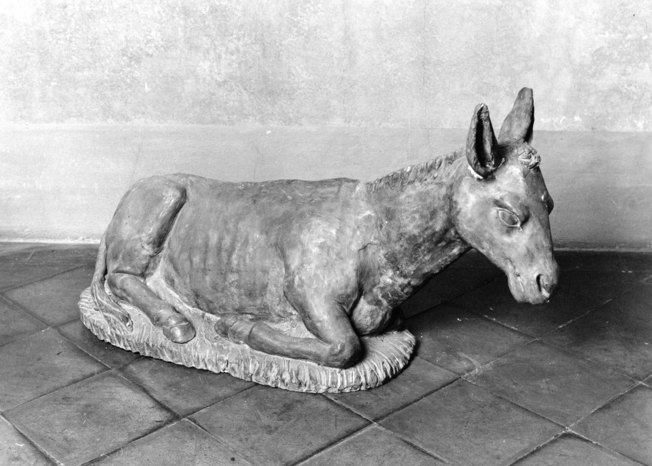 asino (statua da presepio) - produzione toscana (seconda metà sec. XVIII)