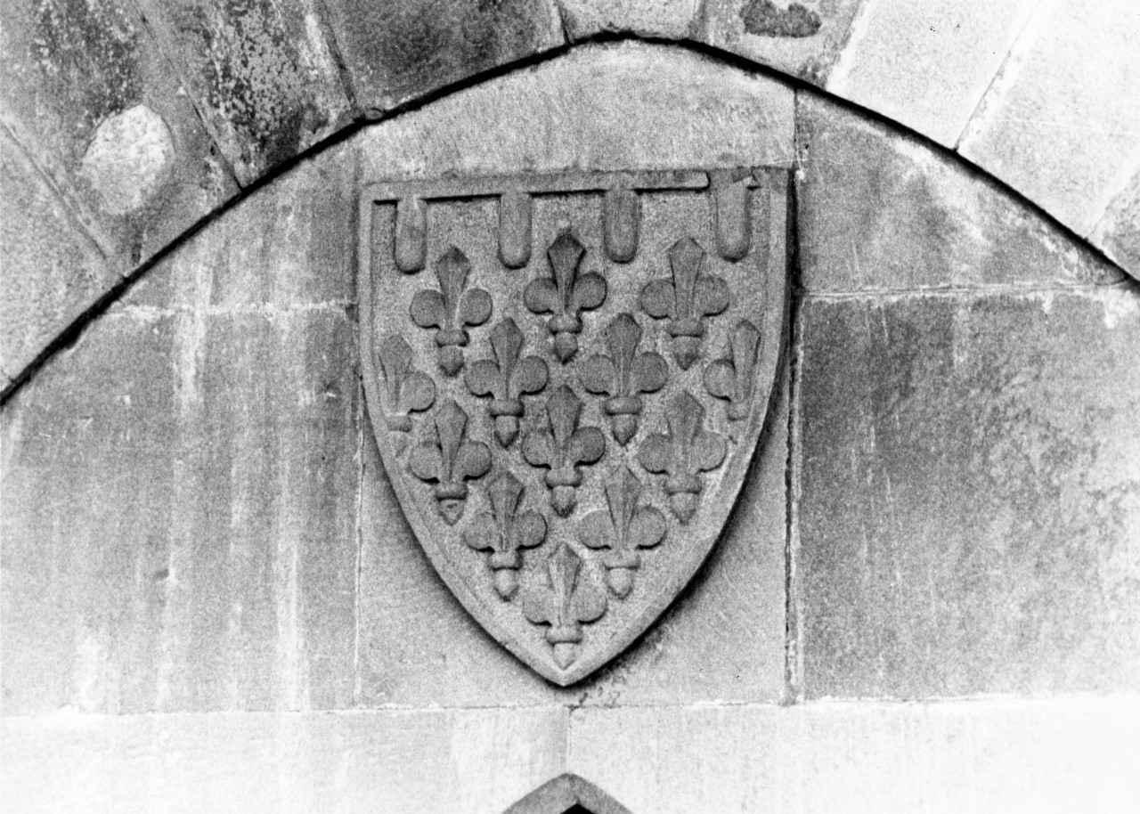 stemma gentilizio della famiglia D'Angiò (rilievo) - manifattura toscana (sec. XX)