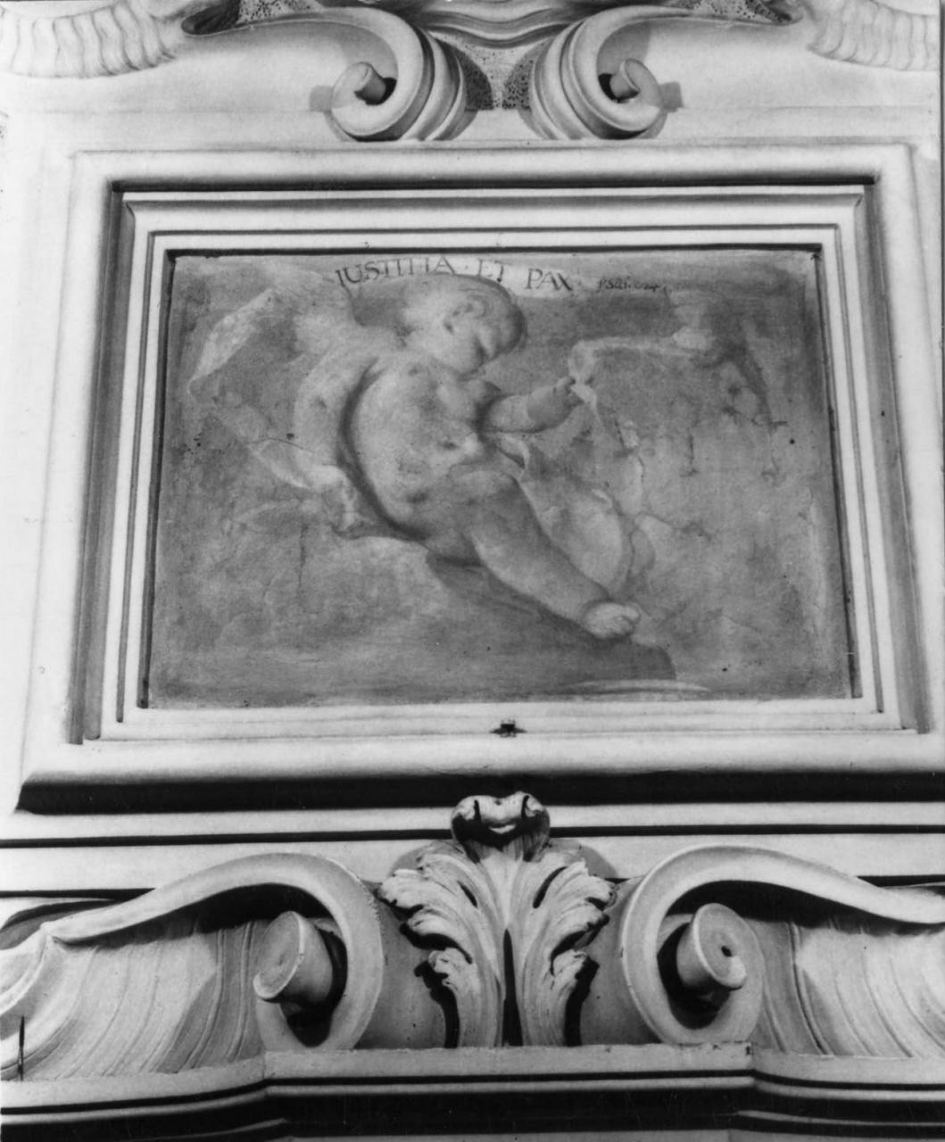 cherubino (dipinto) di Ferretti Giovanni Domenico (attribuito) (sec. XVIII)