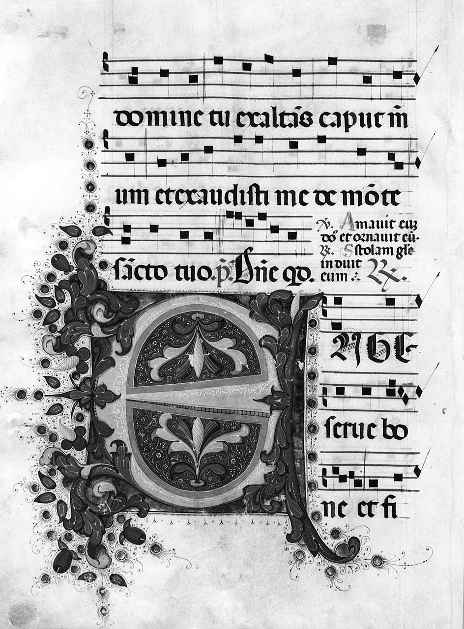 lettera E (miniatura) - ambito fiorentino (sec. XV)
