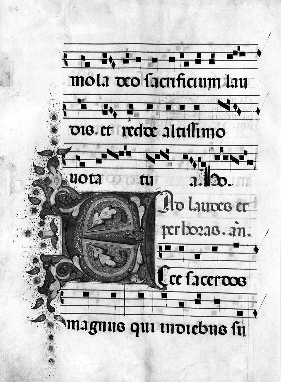 lettera E (miniatura) - ambito fiorentino (sec. XV)
