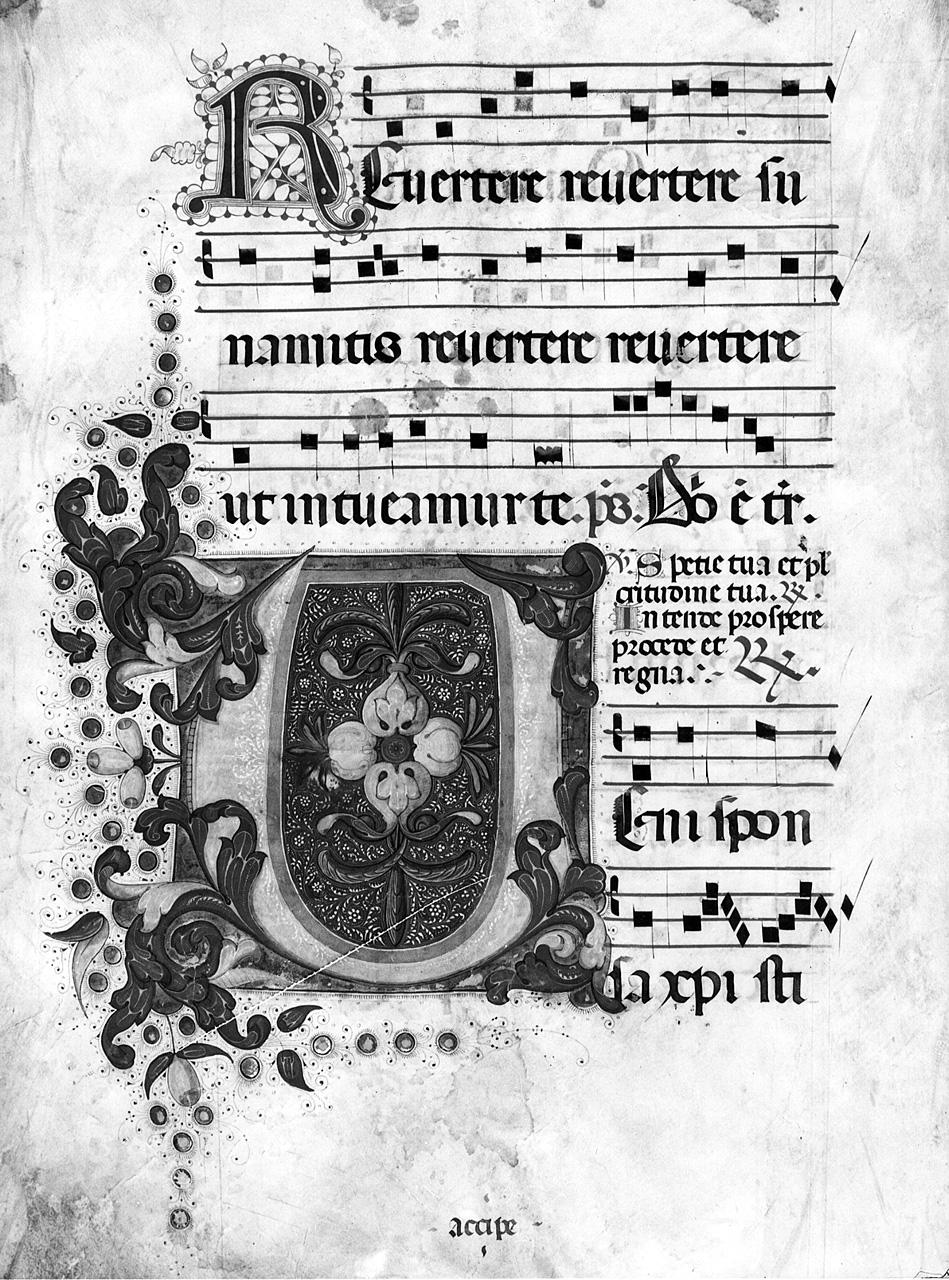 lettera V (miniatura) - ambito fiorentino (sec. XV)