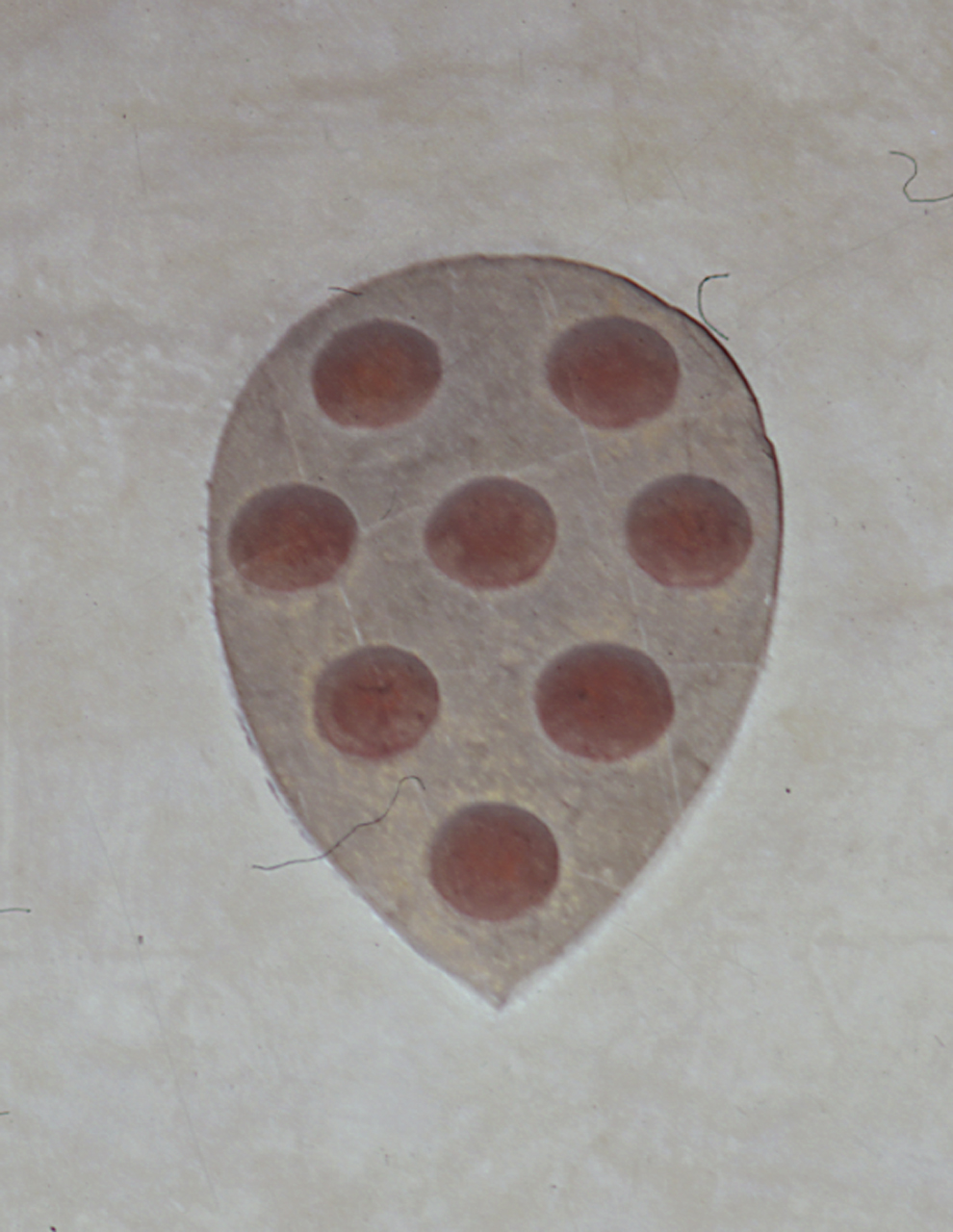 stemma gentilizio della famiglia Medici (rilievo) di Michelozzi Michelozzo (sec. XV)