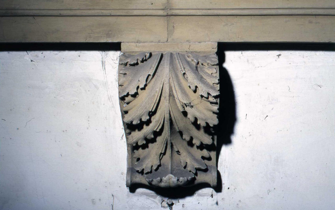 motivi decorativi a foglie d'acanto (mensola architettonica - a voluta, serie) di Grazini Benedetto detto Benedetto da Rovezzano (attribuito) (fine/inizio secc. XV/ XVI)