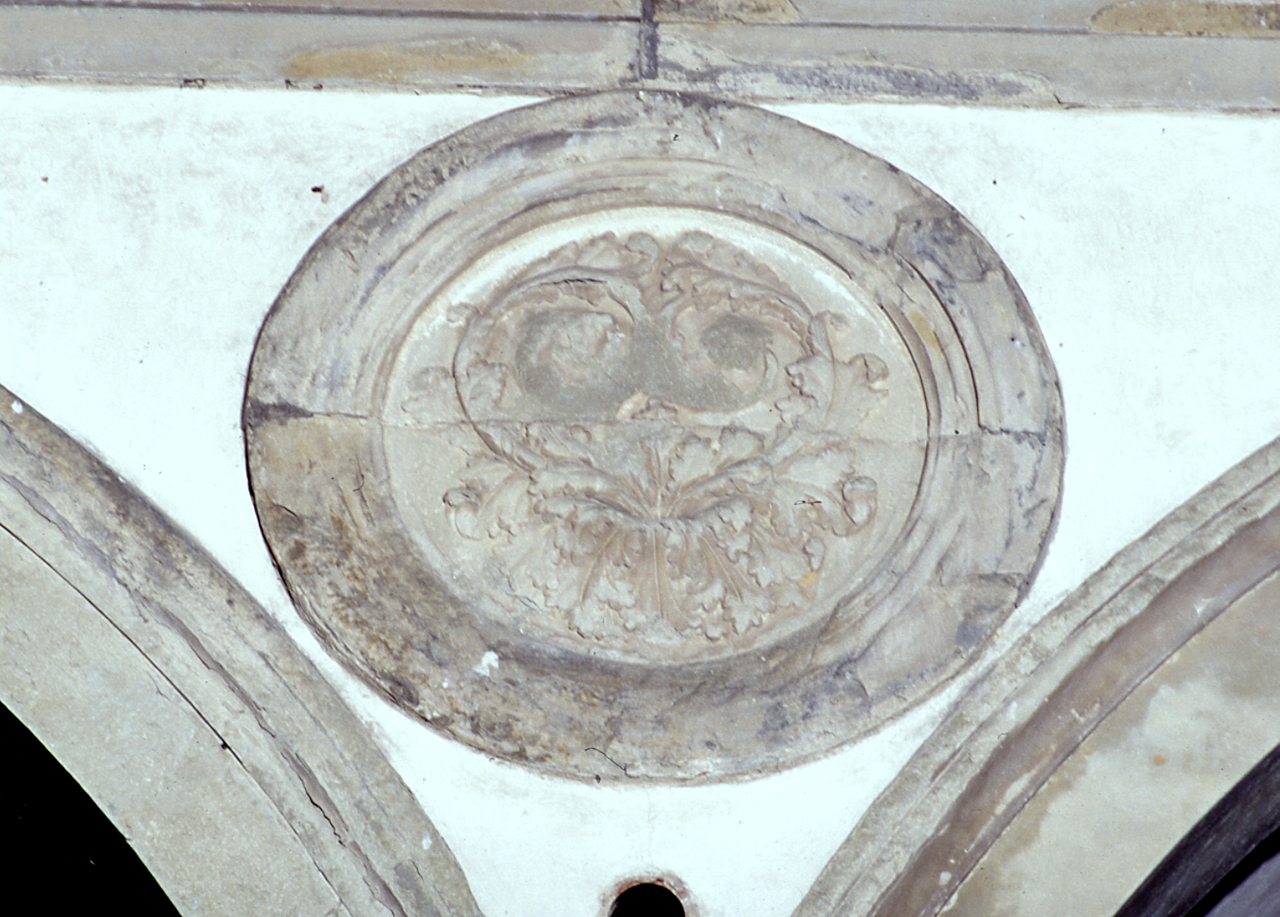 motivo decorativo vegetale (rilievo) di Rossellino Bernardo (e aiuti) (sec. XV)