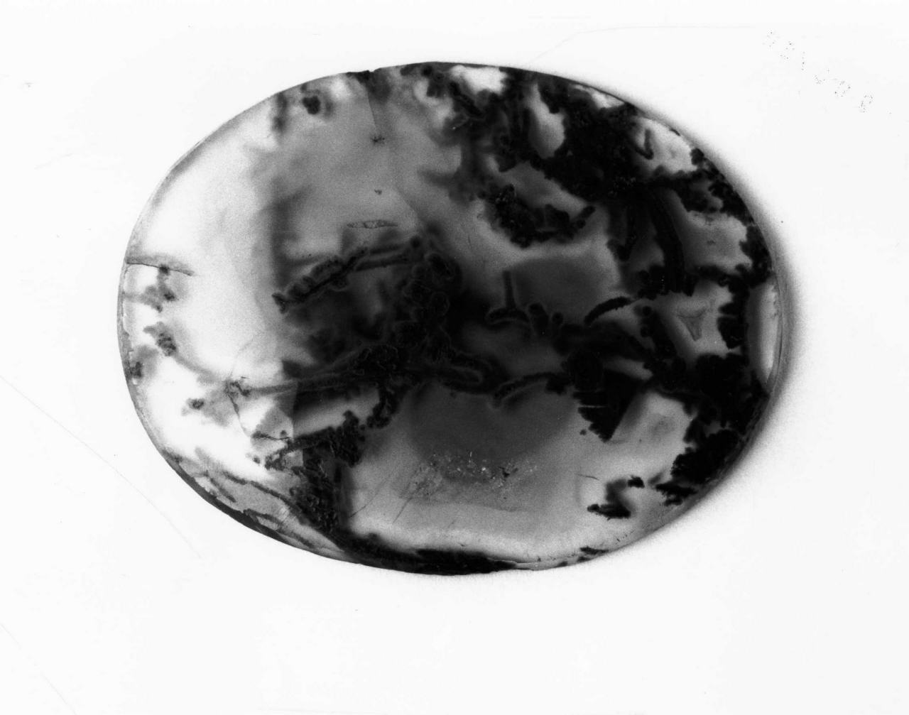 pietra preziosa - bottega fiorentina (fine/inizio secc. XVI/ XVII)