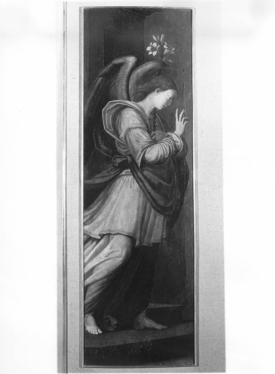 angelo annunciante (dipinto) di Signoroccio Paolo detto Fra' Paolino (sec. XVI)