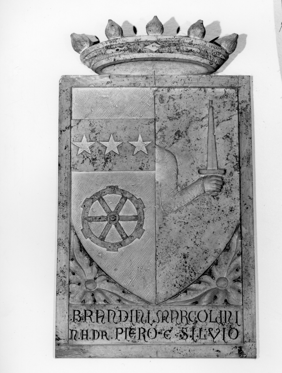 stemma gentilizio (rilievo) - bottega di Castelfiorentino (sec. XX)