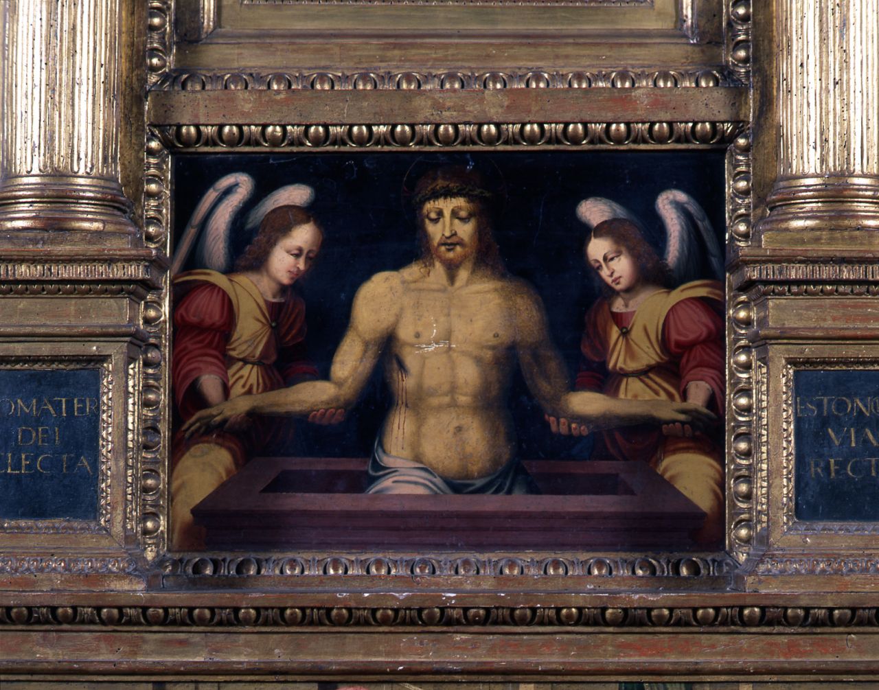 Cristo in pietà (dipinto) di Sogliani Giovanni Antonio (bottega) (prima metà sec. XVI)