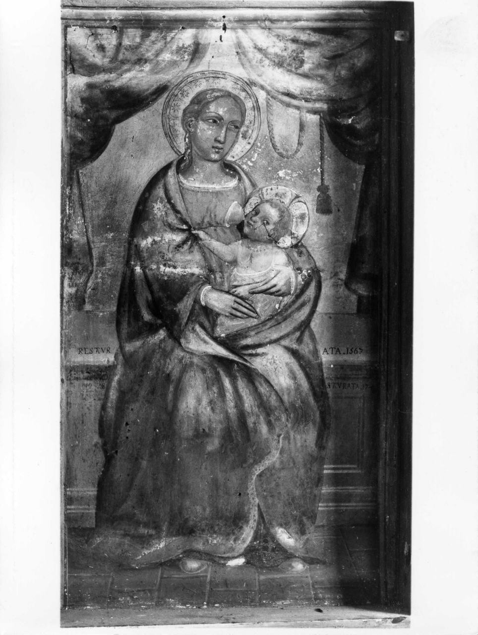 Madonna del Latte (dipinto) - ambito pistoiese (sec. XIV)