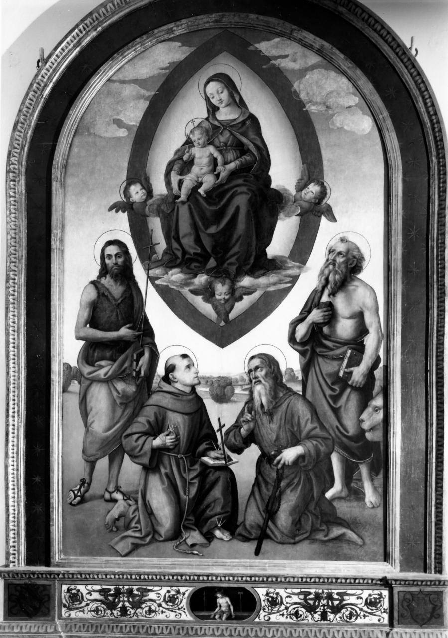 Madonna con Bambino in gloria con San Giovanni, San Girolamo, San Francesco e San Vivaldo (dipinto) di Carli Raffaello detto Raffaellino del Garbo (sec. XVI)