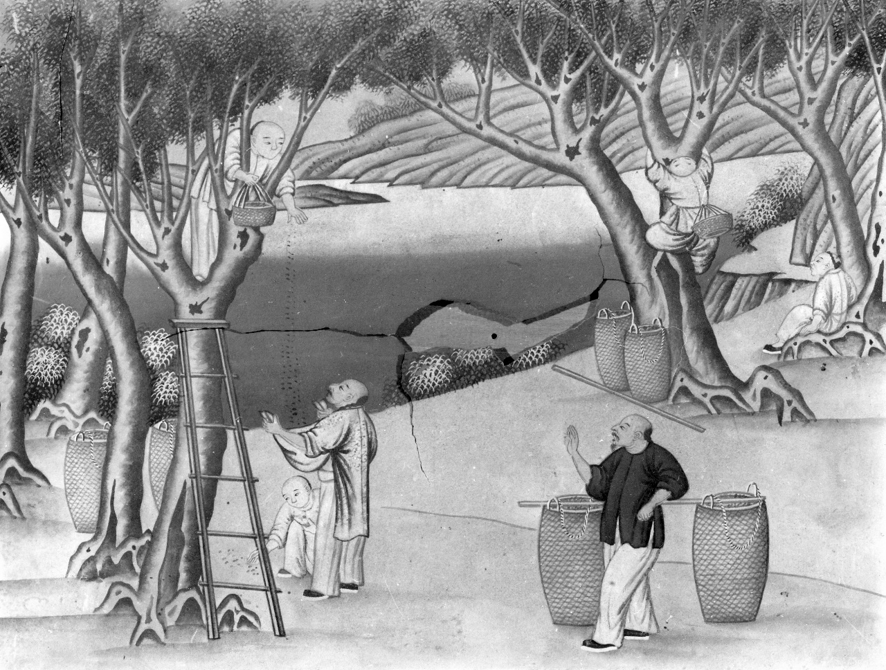 raccolta del gelso (dipinto) - ambito cinese (sec. XVIII)