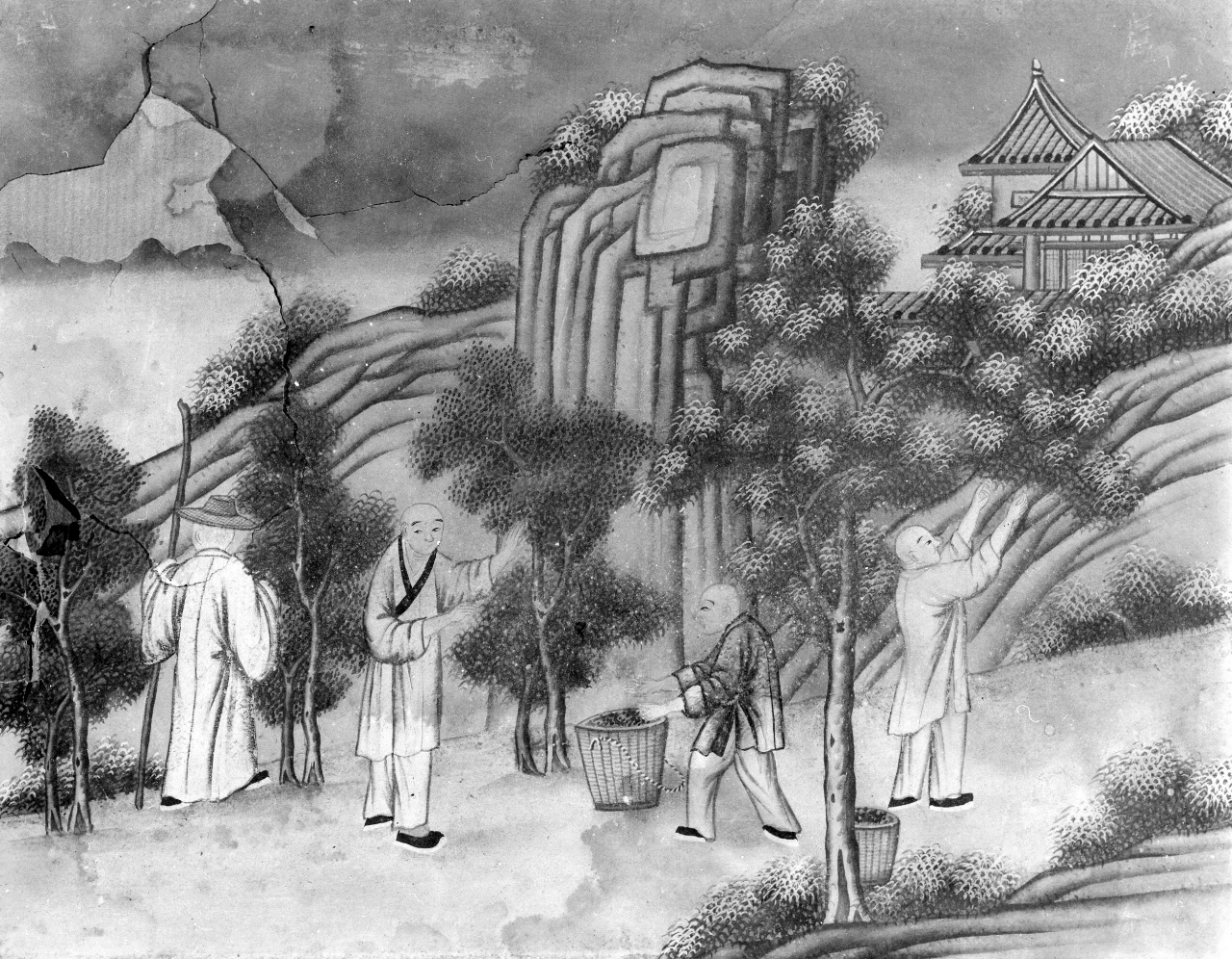 raccolta del tè (dipinto) - ambito cinese (sec. XVIII)