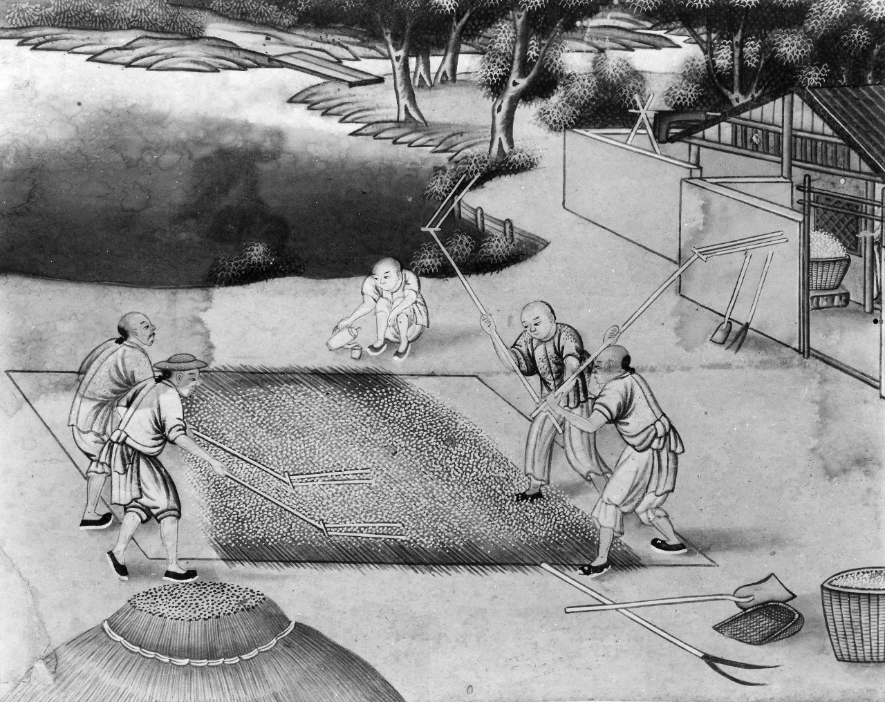 lavorazione del riso (dipinto) - ambito cinese (sec. XVIII)